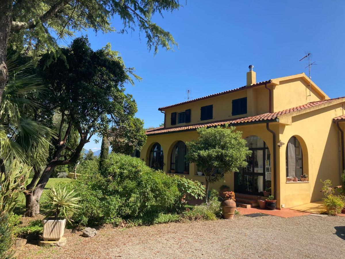 Tenuta Poggio Alla Farnia Fauglia Екстериор снимка