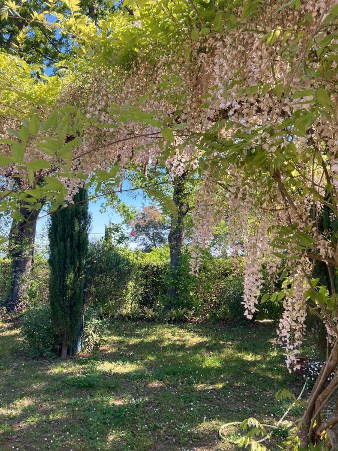Tenuta Poggio Alla Farnia Fauglia Екстериор снимка