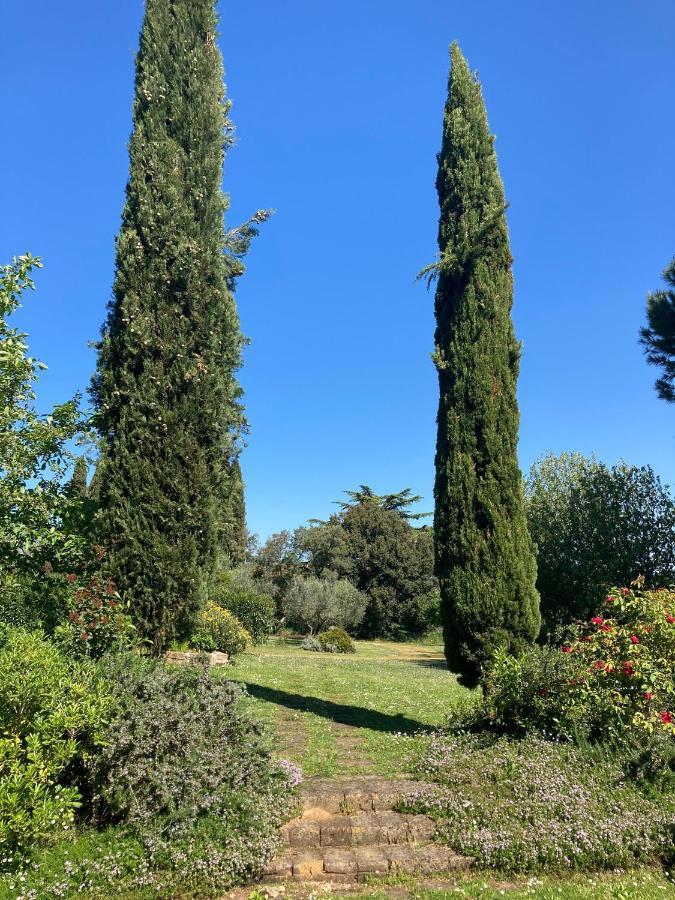 Tenuta Poggio Alla Farnia Fauglia Екстериор снимка